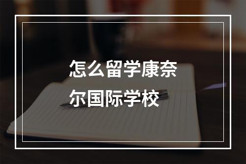 怎么留学康奈尔国际学校