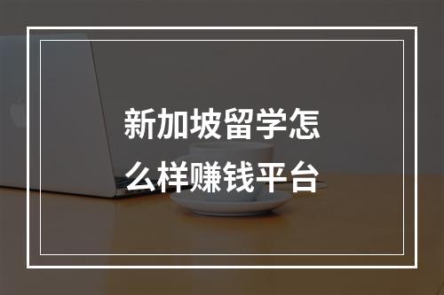 新加坡留学怎么样赚钱平台