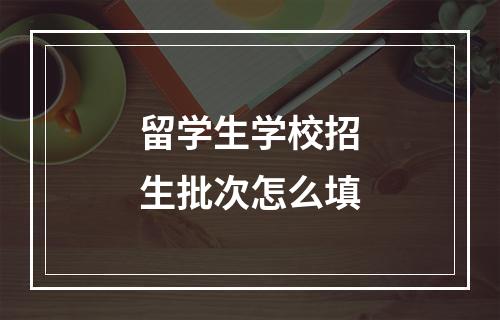 留学生学校招生批次怎么填