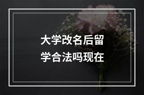 大学改名后留学合法吗现在