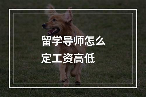 留学导师怎么定工资高低