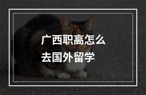 广西职高怎么去国外留学