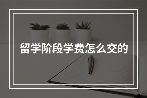 留学阶段学费怎么交的