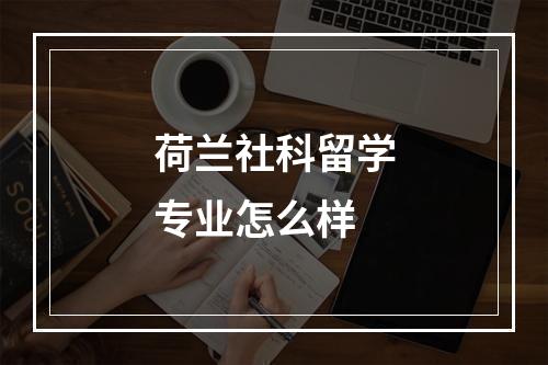 荷兰社科留学专业怎么样