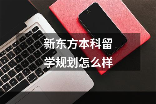 新东方本科留学规划怎么样