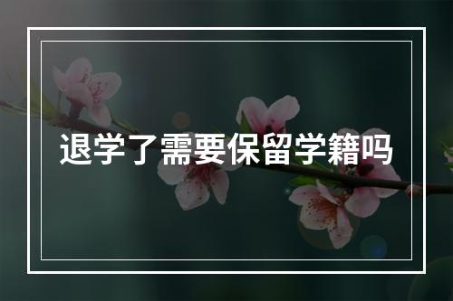 退学了需要保留学籍吗