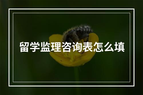 留学监理咨询表怎么填