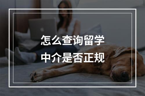 怎么查询留学中介是否正规