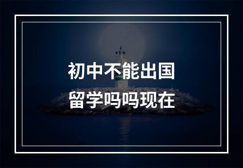 初中不能出国留学吗吗现在