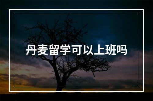 丹麦留学可以上班吗