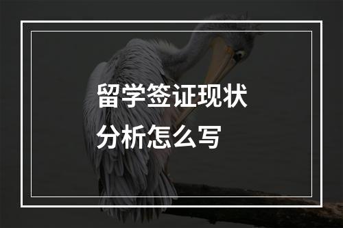 留学签证现状分析怎么写