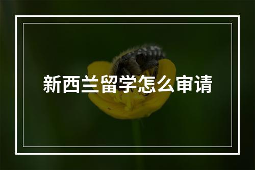 新西兰留学怎么审请