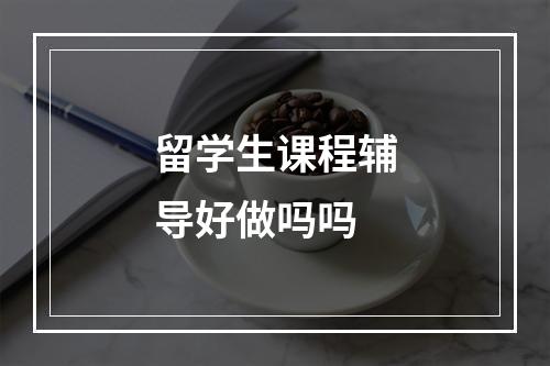 留学生课程辅导好做吗吗