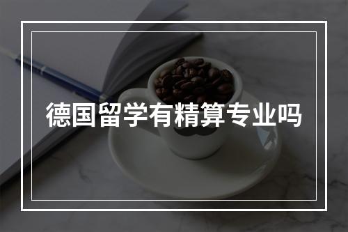 德国留学有精算专业吗