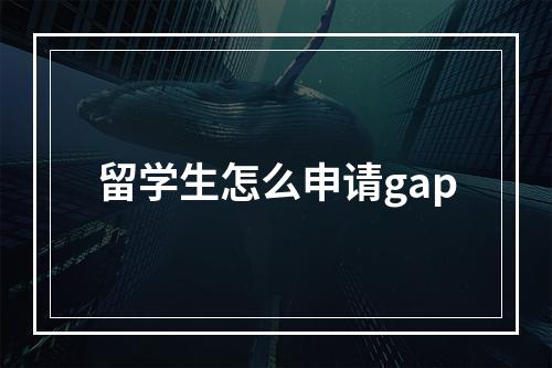 留学生怎么申请gap