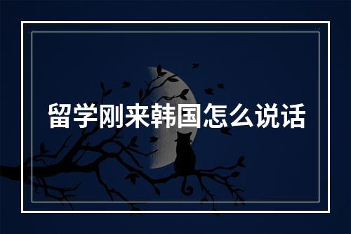 留学刚来韩国怎么说话