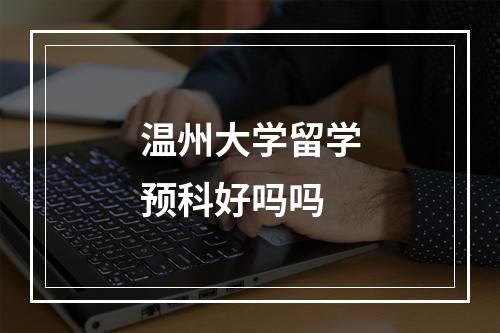 温州大学留学预科好吗吗