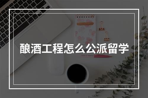 酿酒工程怎么公派留学