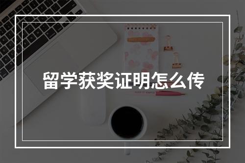 留学获奖证明怎么传