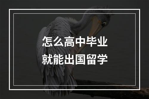 怎么高中毕业就能出国留学