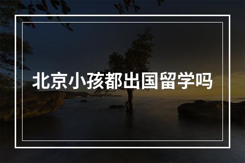 北京小孩都出国留学吗