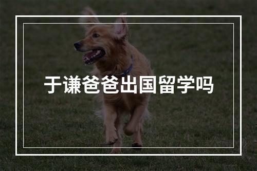 于谦爸爸出国留学吗