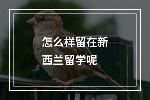 怎么样留在新西兰留学呢