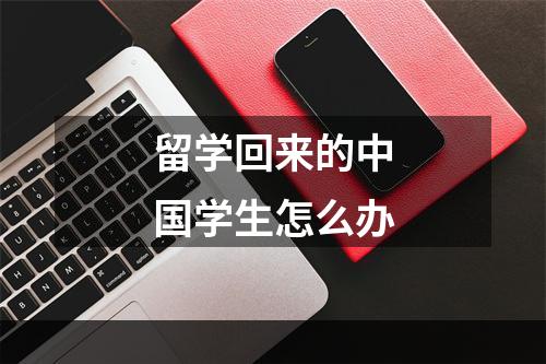 留学回来的中国学生怎么办