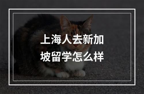 上海人去新加坡留学怎么样