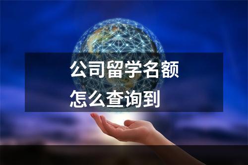 公司留学名额怎么查询到