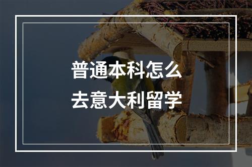 普通本科怎么去意大利留学