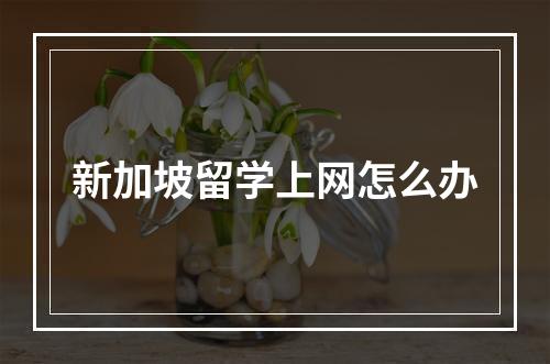 新加坡留学上网怎么办