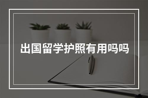 出国留学护照有用吗吗