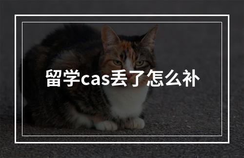 留学cas丢了怎么补