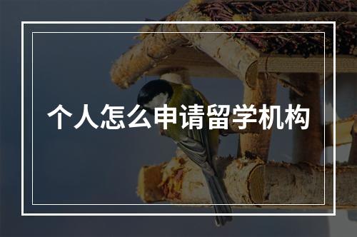 个人怎么申请留学机构