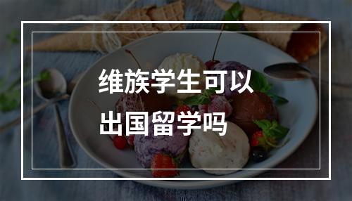 维族学生可以出国留学吗