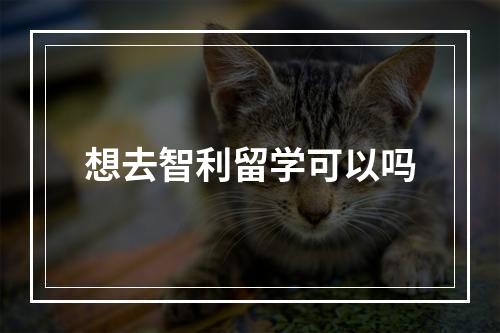 想去智利留学可以吗