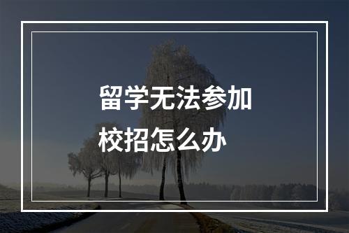 留学无法参加校招怎么办