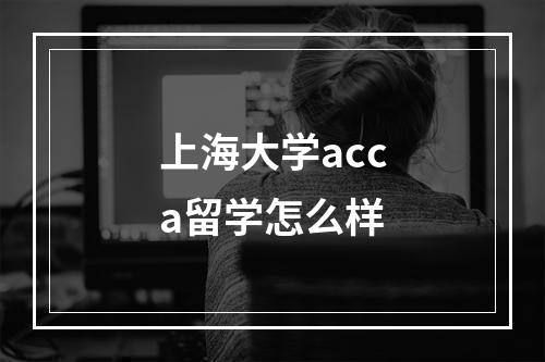 上海大学acca留学怎么样