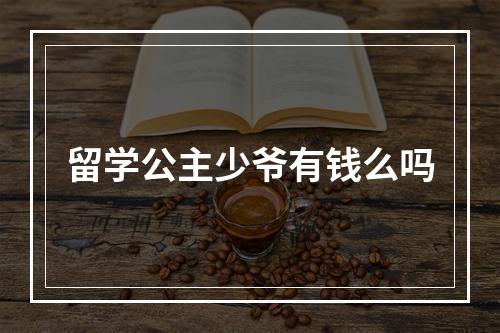 留学公主少爷有钱么吗