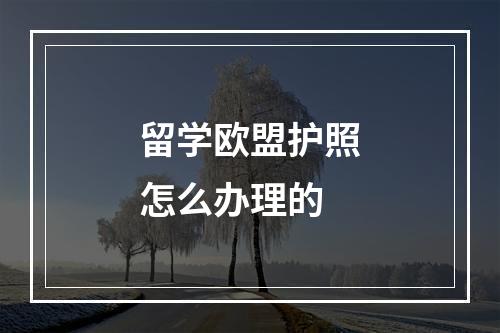 留学欧盟护照怎么办理的