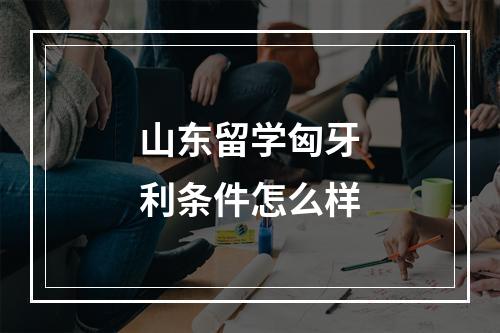 山东留学匈牙利条件怎么样