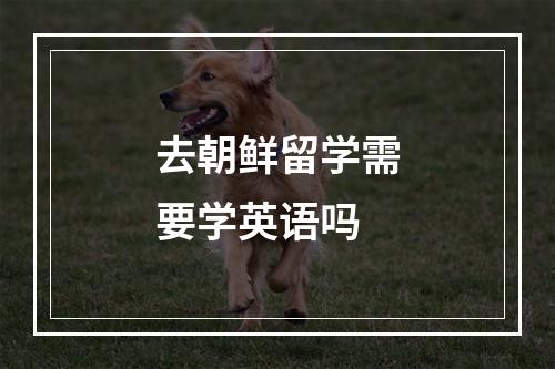 去朝鲜留学需要学英语吗