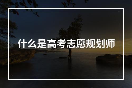 什么是高考志愿规划师