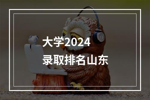 大学2024录取排名山东