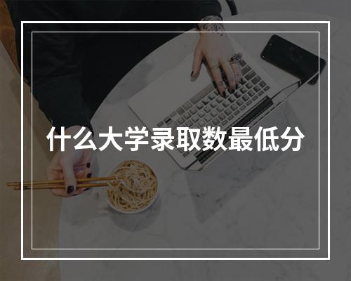 什么大学录取数最低分