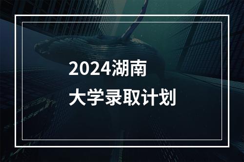 2024湖南大学录取计划