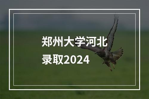 郑州大学河北录取2024