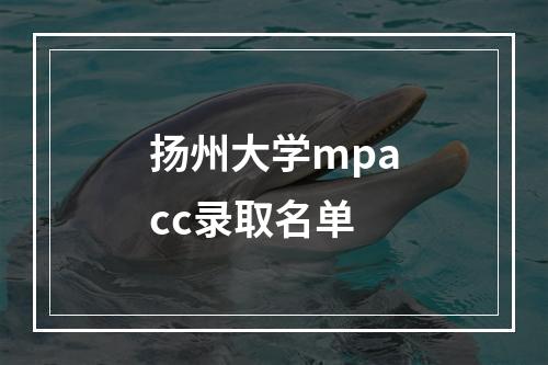 扬州大学mpacc录取名单