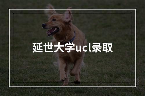 延世大学ucl录取